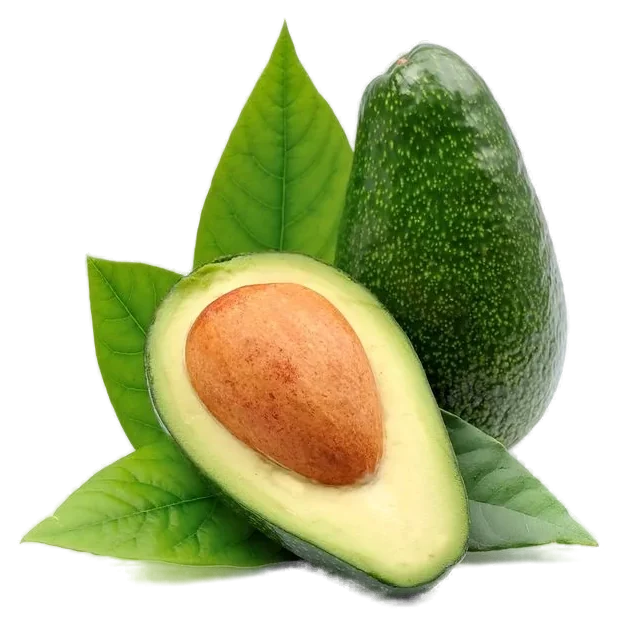 Fresh avocado