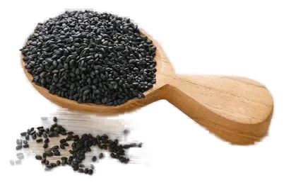 Basil (sabja) seeds