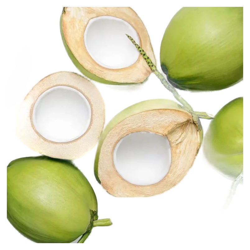Fresh young coconut