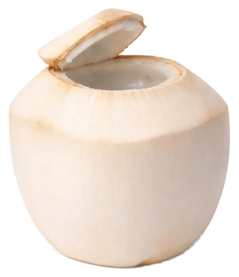 Whole young coconut