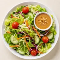Garden Salad