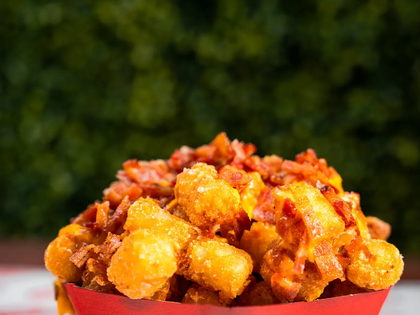 Loaded tater tots